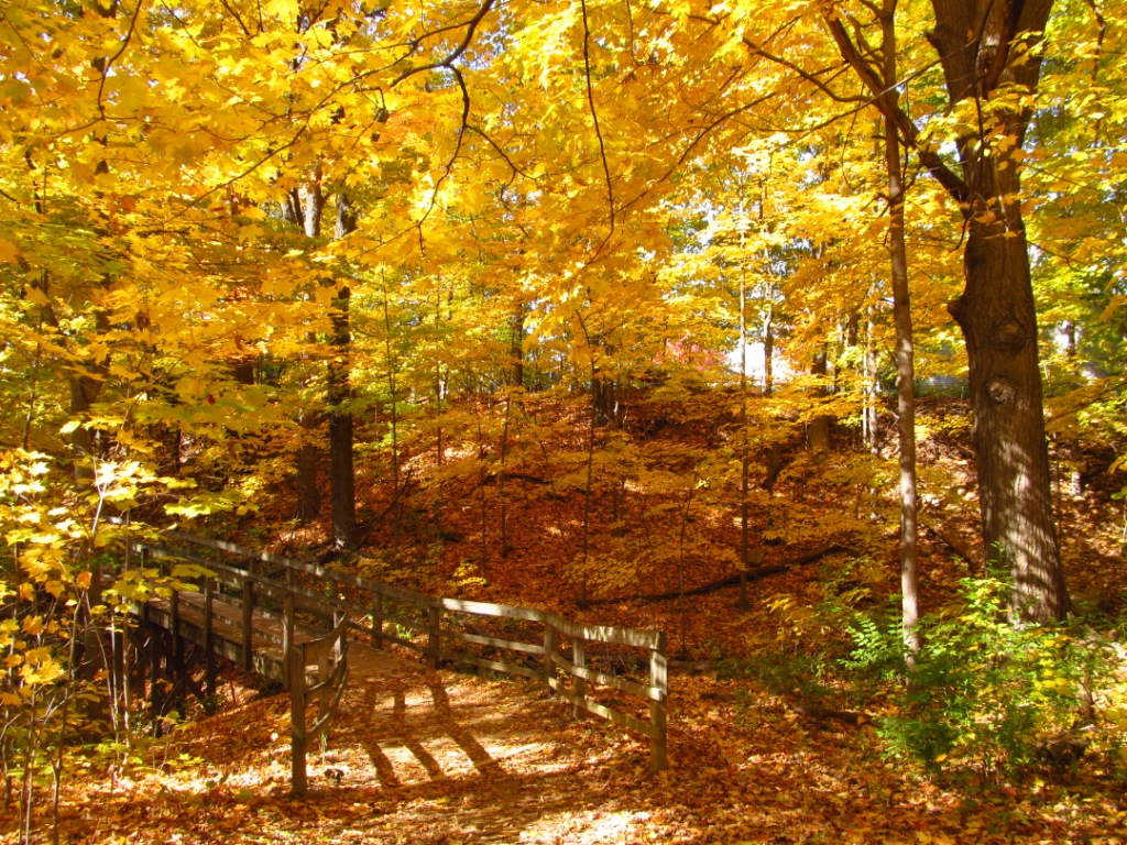 Hiking Spree Fund Summit Metro Parks Foundation