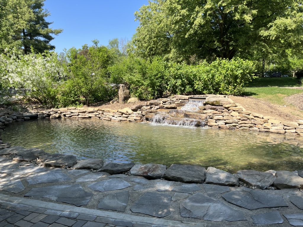 Renovation of the Rock & Herb Garden Pond