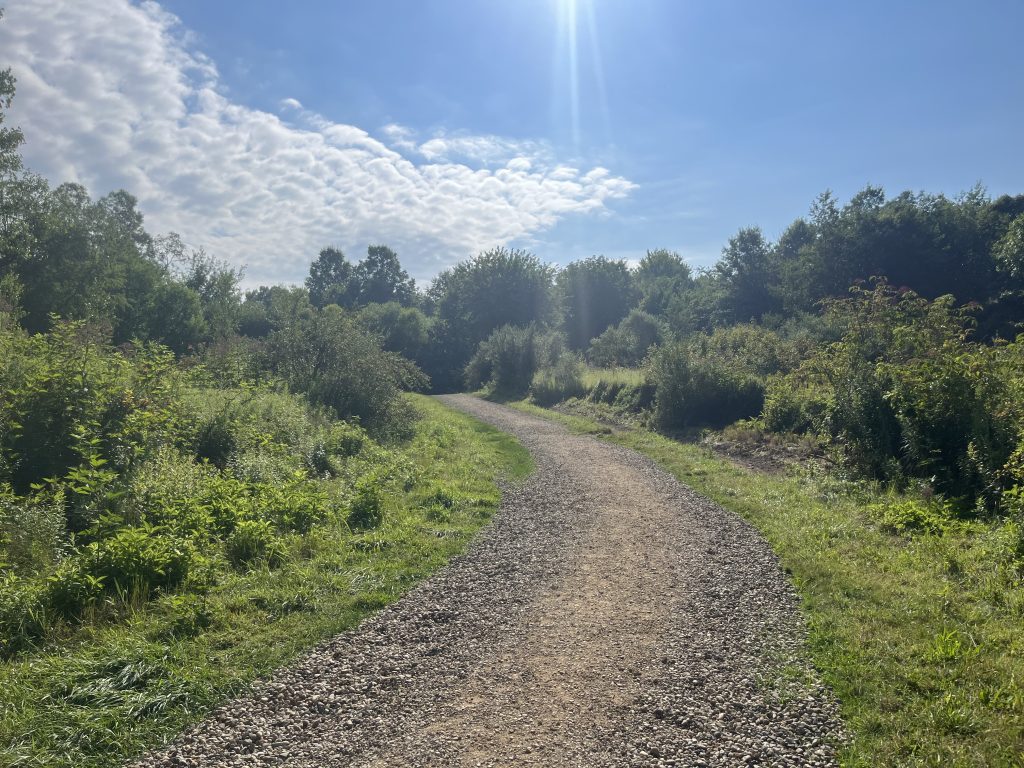 Improving Silver Creek’s Pheasant Run Trail